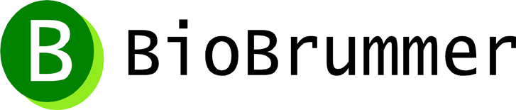 Brummer